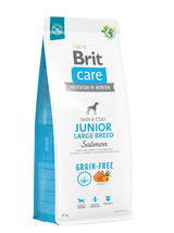 BRIT CARE Dog Grain-free Junior Large Breed Salmon 12kg
