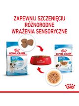 ROYAL CANIN Mini Puppy 12x85g karma mokra w sosie dla szczeniąt do 10 miesiąca, ras małych