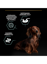 PRO PLAN Sensitive Digestion Small & Mini Karma dla psów bogata w jagnięcinę 7kg+ + niespodzianka dla psa GRATIS!