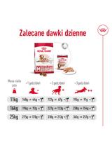 ROYAL CANIN Medium Ageing 10+ 15kg karma sucha dla psów dojrzałych po 10 roku życia, ras średnich + niespodzianka dla psa GRATIS!