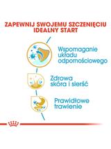 ROYAL CANIN Golden Retriever Puppy 12kg karma sucha dla szczeniąt do 15 miesiąca, rasy golden retriever/Opakowanie uszkodzone(9587)