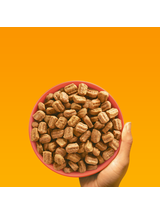 PEDIGREE® Adult Professional Nutrition 11kg z drobiem i warzywami - sucha karma pełnoporcjowa dla dorosłych psów dużych i średnich ras//Opakowanie uszkodzone (5717,5749) !!!