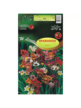 Sparaksis mieszanka 10szt.