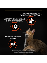 PRO PLAN Sterilised Vital Functions Karma dla kotów bogata w łososia 10kg/Opakowanie uszkodzone (9107,9366) !!!