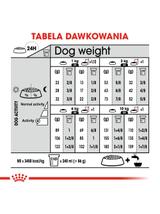 ROYAL CANIN CCN Mini Sterilised 3kg karma sucha dla psów dorosłych, ras małych, sterylizowanych /Opakowanie uszkodzone (7786,7782) !!!