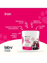 Lab-v Hemoglobina – naturalne żelazo hemowe do mieszanek BARF i diet domowych 180 g