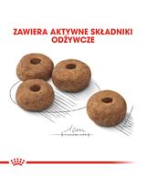 ROYAL CANIN CCN Medium Sterilised 3kg karma sucha dla psów dorosłych, ras średnich, sterylizowanych