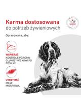 ROYAL CANIN Glycobalance Low Carbohydrate 410g puszka