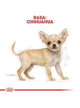 ROYAL CANIN Chihuahua Puppy 500g karma sucha dla szczeniąt do 10 miesiąca, rasy chihuahua