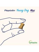 VETOQUINOL Flexadin Young Dog Maxi 60 kąsków