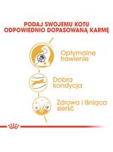 ROYAL CANIN Bengal Adult 10kg karma sucha dla kotów dorosłych rasy bengal + Royal Canin piłka dla kota GRATIS!!!