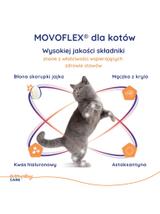 VIRBAC Movoflex krokiety na stawy dla kotów 30 krokietów