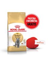 ROYAL CANIN British Shorthair 10kg karma sucha dla kotów dorosłych rasy brytyjski krótkowłosy + Piłka dla kota GRATIS!