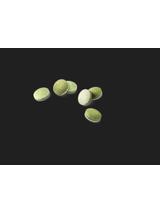 GIMCAT Nutri Dental Bites 40g