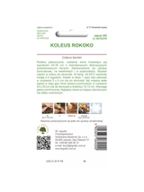 Koleus Rokoko mieszanka