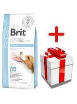 Brit GF veterinary diets dog Obesity 12 kg + NIESPODZIANKA DLA PSA GRATIS!!