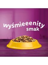 WHISKAS Sterile 3x1,4 kg - sucha karma dla dorosłego kota po zabiegu kastracji, z pysznym kurczakiem