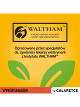 PEDIGREE Adult saszetka 13x(4x100g) - Wybór Smaków w Galaretce, mokra karma pełnoporcjowa w galaretce dla dorosłych psów (kawałki bogate w mieszankę wołowiny i wątróbki oraz kawałki bogate w drób)