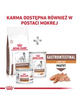 ROYAL CANIN Dog Gastro Intestinal Low Fat 10,5kg sucha karma o obniżonej zawartości tłuszczu dla psów z zaburzeniami żołądkowo-jelitowymi / Opakowanie uszkodzone (9376) !!!