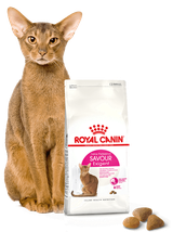 ROYAL CANIN  Exigent Savour 35/30 Sensation 10kg karma sucha dla kotów dorosłych, wybrednych, kierujących się teksturą krokieta + Piłka dla kota GRATIS!
