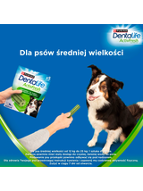 Purina Dentalife Activefresh Medium 115g
