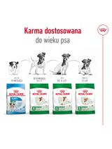ROYAL CANIN Mini Adult 800g karma sucha dla psów dorosłych, ras małych + niespodzianka dla psa GRATIS