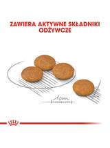 ROYAL CANIN CCN Mini Dermacomfort 8kg + niespodzianka dla psa GRATIS!