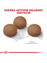 ROYAL CANIN CCN Maxi Digestive Care 3kg karma sucha dla psów dorosłych, ras dużych o wrażliwym przewodzie pokarmowym