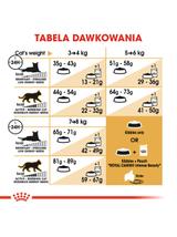 ROYAL CANIN Norvegian Forest Cat Adult 2kg karma sucha dla kotów dorosłych rasy norweski leśny
