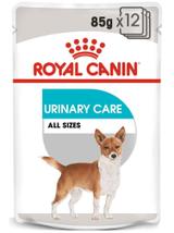 ROYAL CANIN CCN Urinary Care 12x85g karma mokra - pasztet dla psów dorosłych