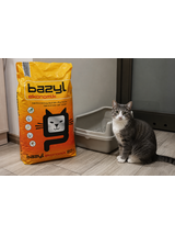 Bazyl Ekonomik 20l