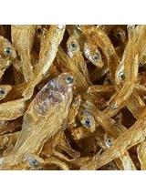 TETRA  Anchovies opak. 1l