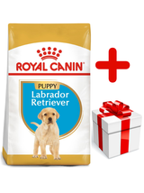 ROYAL CANIN Labrador Retriever Puppy 12kg + niespodzianka dla psa GRATIS!