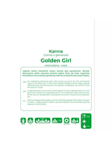 Kanna Golden Girl żółta 1szt.