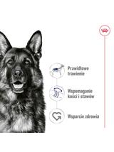 ROYAL CANIN® Maxi Adult 410g karma mokra , pasztet dla psów dorosłych , ras dużych