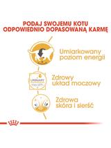 ROYAL CANIN British Shorthair Adult saszetka 12x85g (Sos) karma mokra w sosie dla kotów dorosłych rasy brytyjski krótkowłosy
