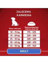 PURINA ONE Adult Medium/Maxi Karma dla dorosłych psów bogata w kurczaka z ryżem 2x12 kg