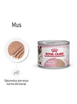 ROYAL CANIN®   Babycat Instinctive Mousse 195 g puszka karma mokra, mus dla kociąt od odsadzenia do 4 miesiąca życia
