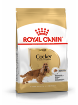 ROYAL CANIN Cocker Spaniel Adult 12kg karma sucha dla psów dorosłych rasy cocker spaniel + niespodzianka dla psa GRATIS!