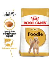 ROYAL CANIN Poodle Adult 1,5kg karma sucha dla psów dorosłych rasy pudel miniaturowy/ opakowanie uszkodzone (7157)!!!!