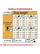 ROYAL CANIN Poodle Adult 1,5kg karma sucha dla psów dorosłych rasy pudel miniaturowy/ opakowanie uszkodzone (7157)!!!!