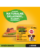 PEDIGREE Adult saszetka 12x100 g - Wybór Smaków z Warzywami w Sosie - mokra karma pełnoporcjowa dla dorosłych psów (kawałki bogate w kurczaka, kawałki bogate w mieszankę wołowiny i wątróbki, kawałki bogate w indyka)