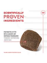 Royal Canin Digestion Adult Chews 160g