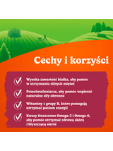 Friskies Picnic Variety dla dorosłych psów 3x126 g (15 sztuk)