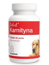 Dolvit Karnityna 90 tabletek