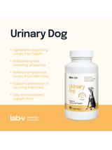Lab-v Urinary Dog – Wsparcie przy zakażeniu dróg moczowych u psów 90 kapsułek
