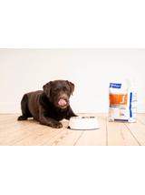 VIRBAC Dog Joint & Mobility Zdrowe Stawy, Wspomaganie Aktywności Ruchowej 12kg