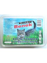 SUPER BENEK Trawka szybkorosnąca dla kota 150g w plastikowym pudełku