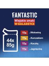 Felix Fantastic MIX smaków w galaretce: 88x85g