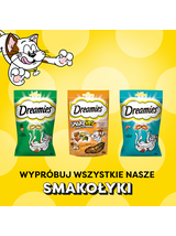 DREAMIES Creamy z serem i z kocimiętką 12x10g